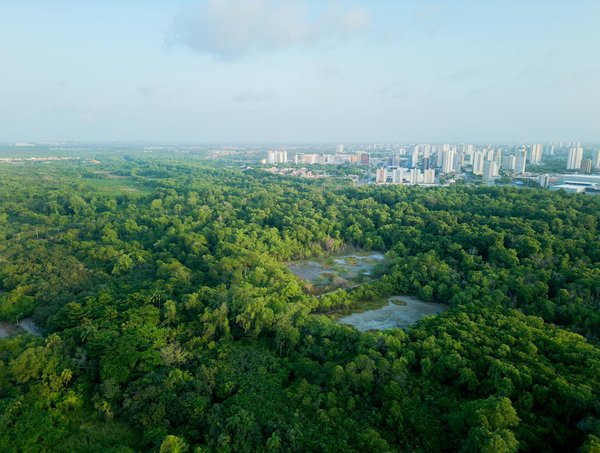 Découvrez flasherie : votre guide ultime en escalade et équipement